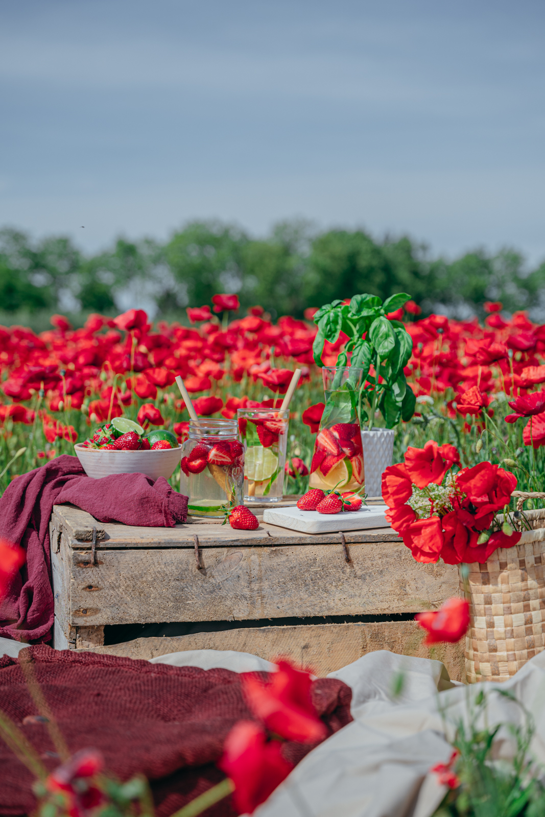 shooting exterieur coquelicots boissons 1