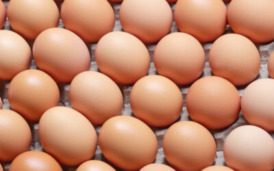 8 alternatives pour remplacer les œufs dans vos formulations