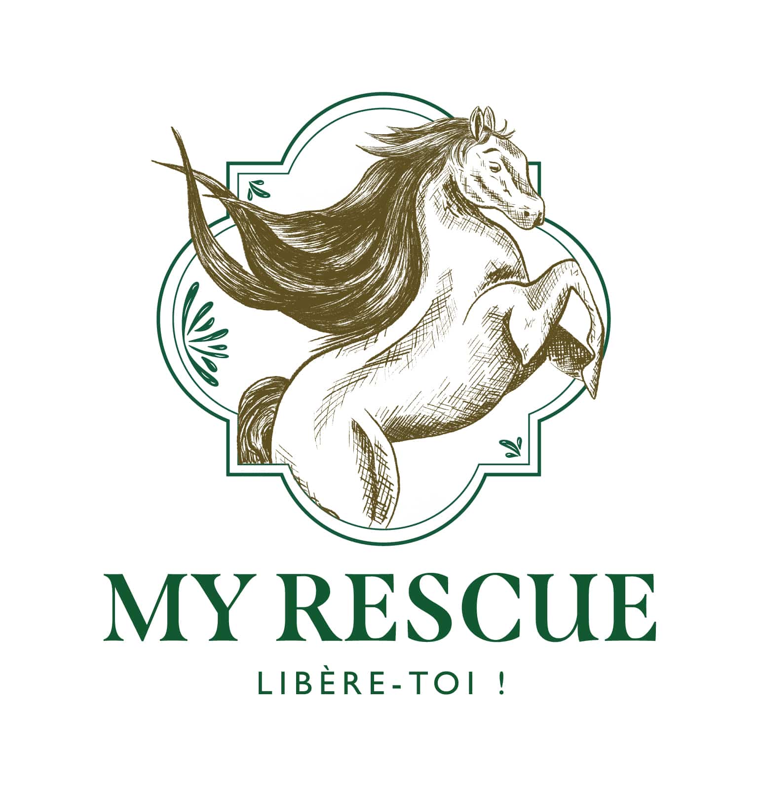 Logo My Rescue